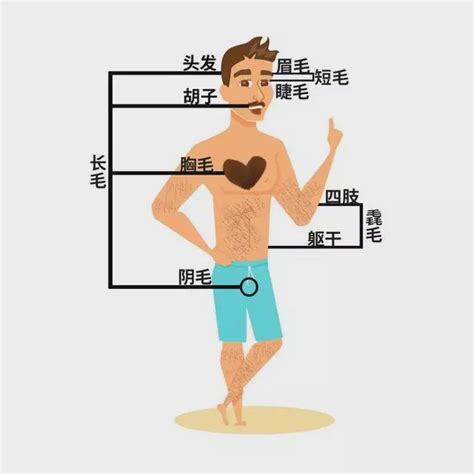 手臂長一根毛|身上有一根毛特別長，是長壽象徵，還是癌變前兆？